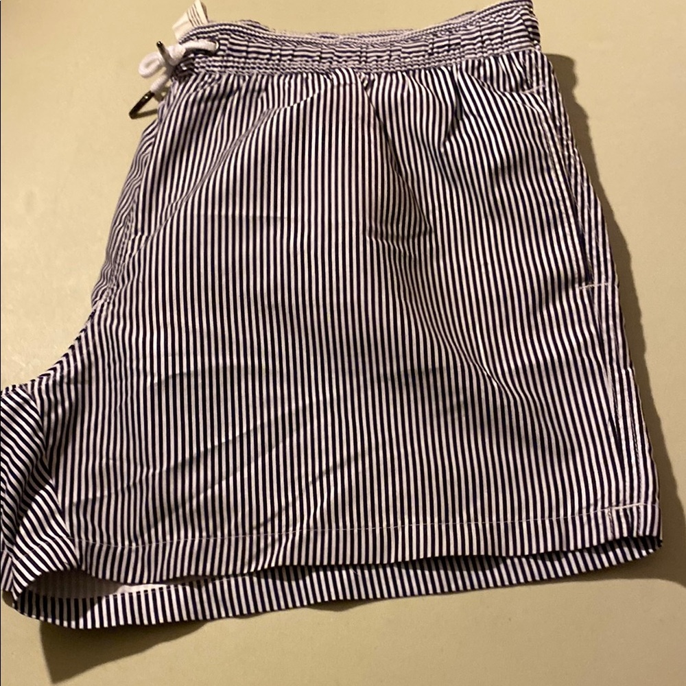 Striped Men's Swim Board Shorts
